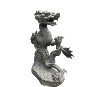 龍是華夏民族的象征也就是中國的象征，龍文化是中國特有的文化