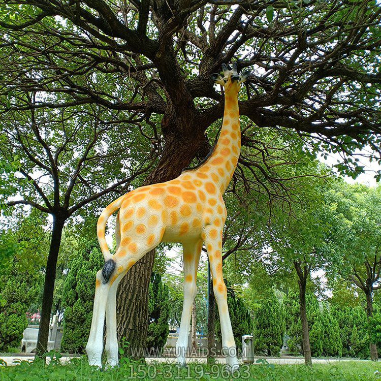 玻璃鋼仿真長(zhǎng)頸鹿，公園園林草坪動(dòng)物景觀雕塑