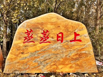 村莊擺放雕刻字黃蠟石景觀(guān)雕塑